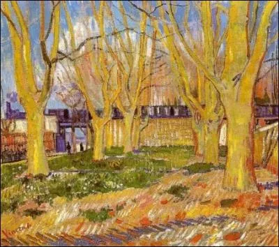 Arbres prs de la gare d'Arles