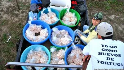 Sur une route du Nicaragua, ces gens vont se livrer  une mystrieuse occupation, utile !