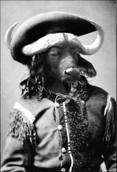 C'tait un claireur reconnu dans l'Ouest sauvage, il approvisionnait les ouvriers du chemin de fer en ...