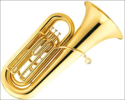 Comment se nomme cela ?