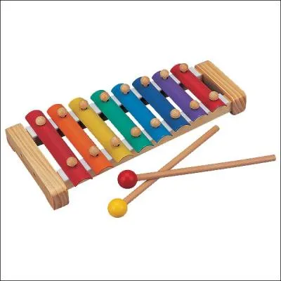 Cet instrument porte un nom. Lequel ?