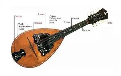 Pour finir, comment s'appelle celui-ci ?