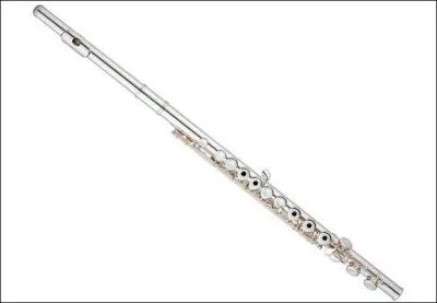 Quel est le nom de ceci ?