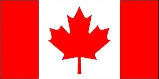  quel pays appartient ce drapeau ?