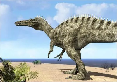 Long de 9 m, le Suchomimus est un prdateur de la mme famille que le Spinosaurus. De quel reptile actuel porte-t-il le mme type de mchoire ?