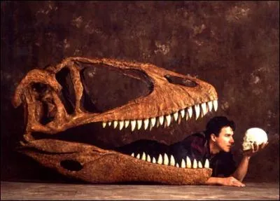 Combien mesure le crne du Carcharodontosaurus ?