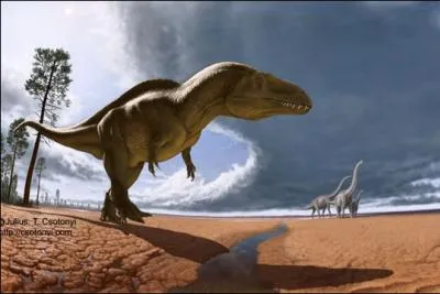 Les restes retrouvs de l'Acrocanthosaurus taient trop peu complets pour dterminer une anatomie suffisamment prcise. Quels parties ont t retrouves en bon tat ?