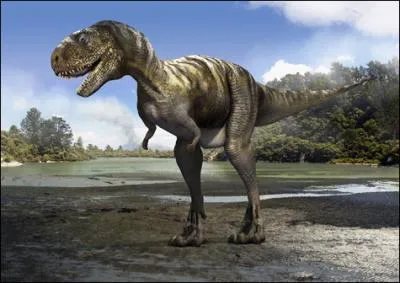 L'Aucasaurus tait un petit thropode de 4 m, dont le crne retrouv sembl avoir t terriblement bless. Les chercheurs affirment qu'il tait plus volu que ses parents, pourqu