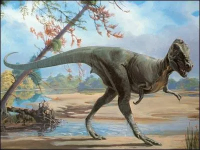 Comment se droule la croissance de la plupart des dinosaures ?