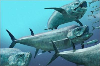 Quel est le nom de ce poisson ? Avec plus de 5 m de long, son fossile fut retrouv avec les restes d'un autre grand poisson, c'est pourquoi les chercheurs pensent qu'il est mort d'indigestion.