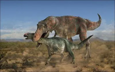 Les os du Tarbosaurus ont t abondants et biens conservs ce qui a permis une tude trs profonde de leur morphologie et leur comportement. O a-t-on trouv la plupart des ossements ?