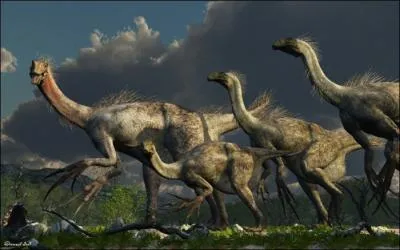 Combien mesurent les terrifiantes griffes du Therizinosaurus (l'animal en lui-mme mesurait 5 m de long et pesait dans les 6 tonnes) ?