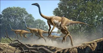 Quel tait le rgime alimentaire du Struthiomimus ? Son nom signifie  Semblable  l'autruche .