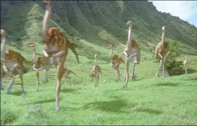 Quel est le nom ces dinosaures dans le film  Jurassic park  ?