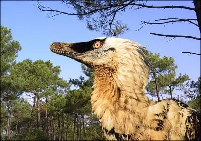 Comment devait s'appeler le Vlociraptor  sa dcouverte ? Ce nom n'a pas t publi, ni rellement enregistr, et pendant la Guerre froide, les recherches ont d tre stoppes.