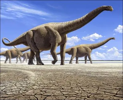 L'Argentinosaurus est le troisime plus gros dinosaure de tous les temps avec plus de 100 tonnes, il a dcouvert en 1989. Combien mesurait-il ? (Pour situer, le Diplodocus mesurait 22 m de long)