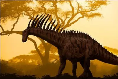 O a-t-on retrouv des fossiles de l'Amargasaurus ? Ce sauropode spectaculaire au cou hriss de pointes mesurait 10 m de long.