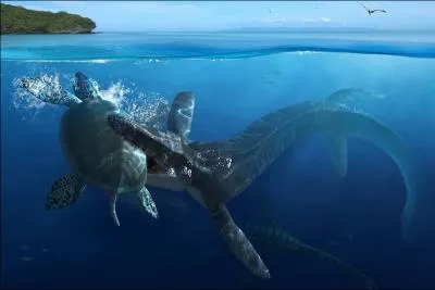 Le Mosasaurus est un reptile marin de 18 m qui a t trouv en 1780 dans le lit de la Meuse. Dans quelle ville proche de la Meuse l'a-t-on trouv ?
