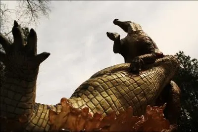 Le Deinosuchus est le plus gros des crocodiles avec ses 15 m de long, quelle tait sa puissance de morsure ? ( titre comparatif, un crocodile du Nil actuel a un puissance de morsure de 9 500 newtons)