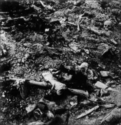 Ptain, figure emblmatique de Verdun et de la rpression des mutineries de 1917, est n en :