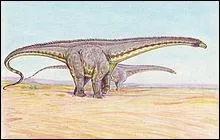 Quel est ce dinosaure ?