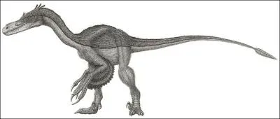 Quel est ce dinosaure ?