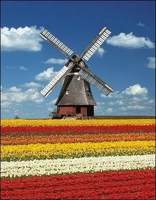 Dans quel pays a été prise cette photo ?