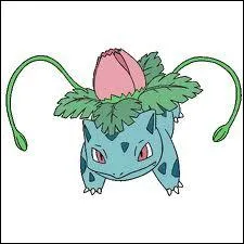 Qui est ce Pokmon ?