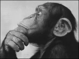 Quelle est la bonne orthographe ?