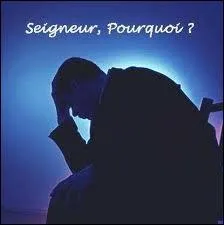 Quelle phrase est bien orthographie ?