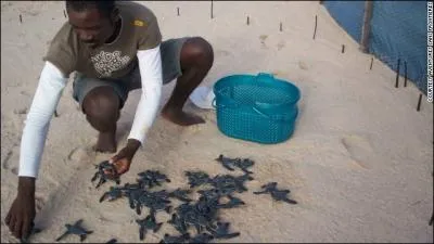 Que ramasse cet homme ?