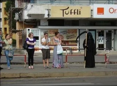 Ces deux animaux sont mortels, cependant l'un vous tue beaucoup plus vite que l'autre, lequel ?