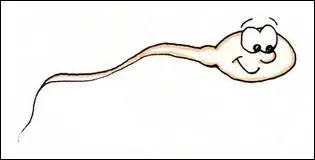 Qu'est-ce qu'un spermophile ?