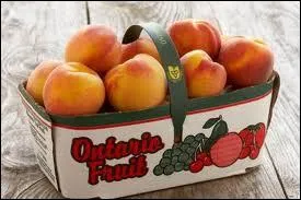 Cherchez l'intrus parmi ces pches :