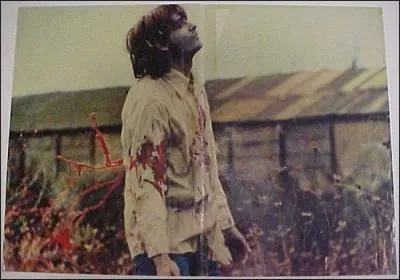 Qui ralise le film  Dawn of the dead  en 1978 ?