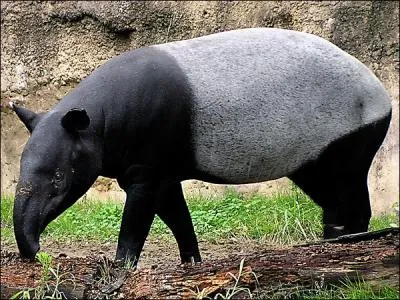 Comment s'appelle celui-ci ?