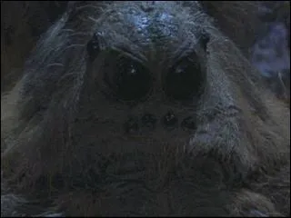 Comment s'appelle-t-elle ?