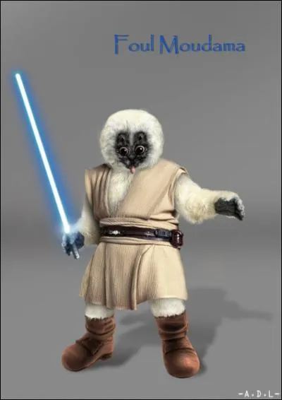 De quelle espce est Foul Moudama ?