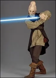De quelle espce est Ki-Adi-Mundi ?