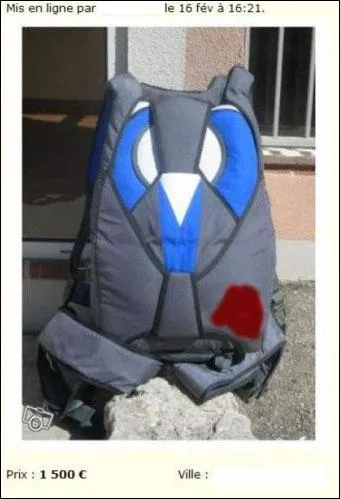 Quel est,  votre avis, le texte du vendeur qui accompagne cette photo ?