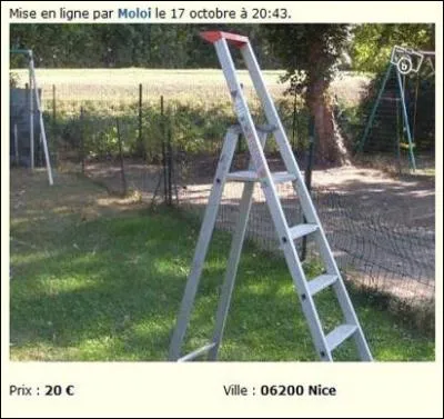 Quel est,  votre avis, le titre de cette annonce ?