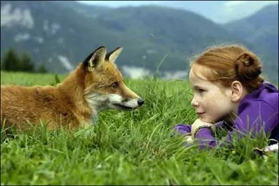 Dans le film le renard et l'enfant, comment s'appelle le renard ?