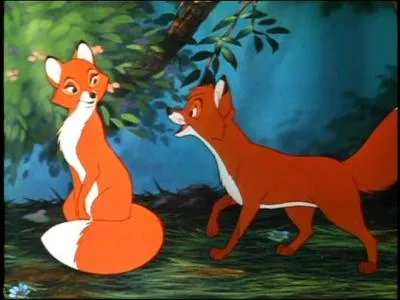 Dans  Rox et Rouky , qui est le renard ?