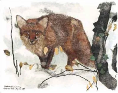 O se situe l'action dans La Fable de La Fontaine  Le renard et le bouc  ?