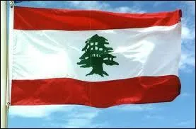 Quel arbre est au centre du drapeau national  Beyrouth ?