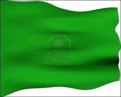 Sur le drapeau de ce pays, il n'y avait que du vert ! Depuis 2011, il ne flotte plus sur --------------.