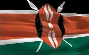 O voit-on les armes traditionnelles des guerriers Massa ?