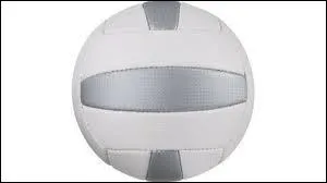 Dans quel sport utilisons-nous ce type de ballon ?
