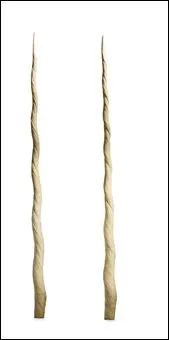 Quel est le surnom de la corne du narval ?