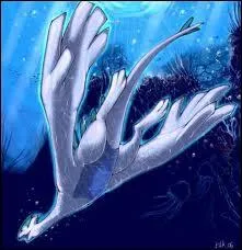 De quel type est ce Pokmon ?